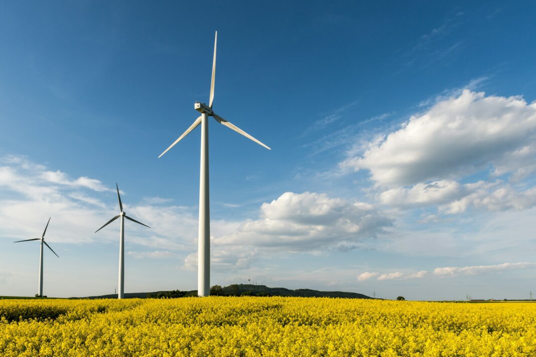 Das erste Halbjahr endete in Deutschland mit Statistiken über erneuerbare Energiequellen und ihre Rolle bei der Stromerzeugung